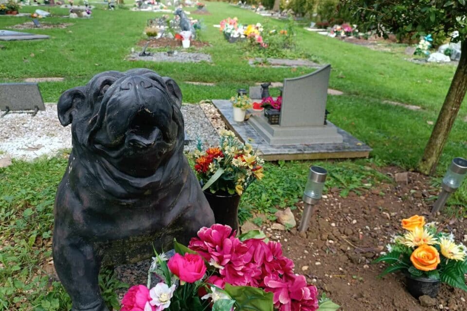 Au paradis des animaux”, un cimetière pas comme les autres à Forest-sur-Marque